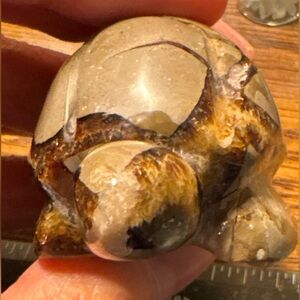 Beautiful Septarian carved turtle, unique gift for any turtle lover!